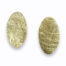 Large Oval Gold disc earrings